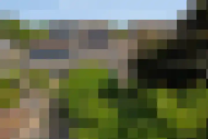 Schapenweide 174 Duiven thumbnail 54