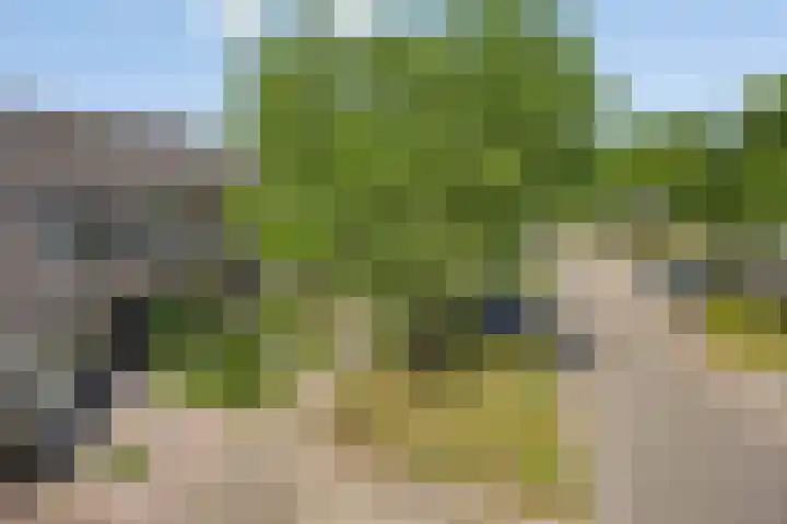 Schapenweide 174 Duiven thumbnail 55
