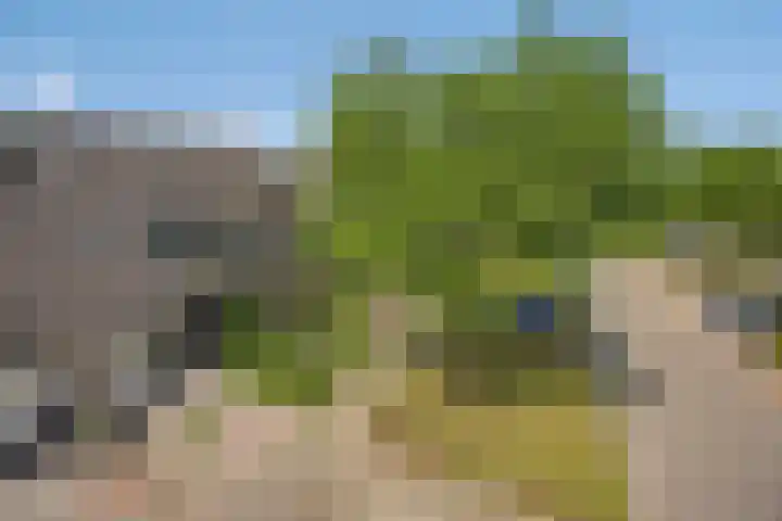 Schapenweide 174 Duiven thumbnail 56