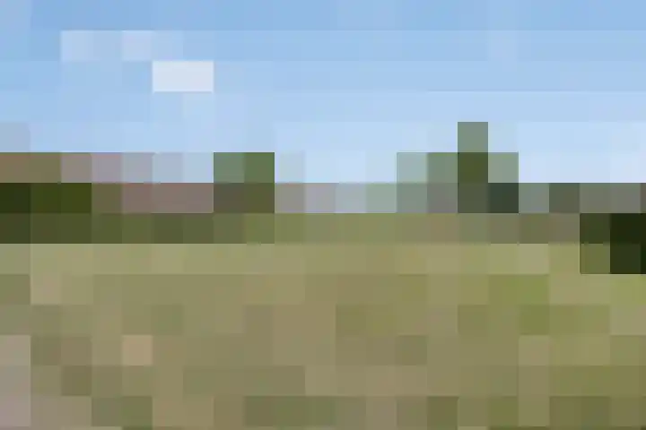 Schapenweide 174 Duiven thumbnail 58
