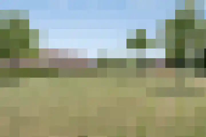 Schapenweide 174 Duiven thumbnail 59