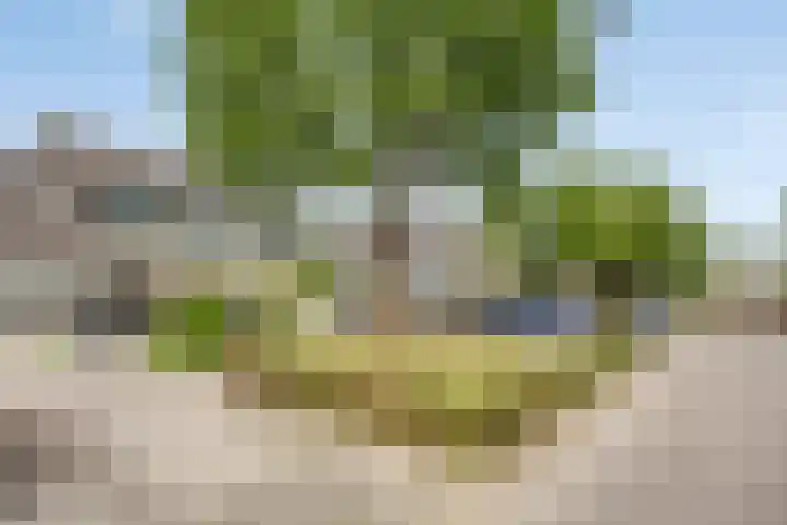 Schapenweide 174 Duiven thumbnail 6