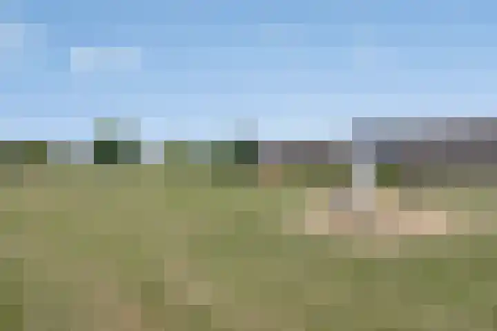 Schapenweide 174 Duiven thumbnail 60