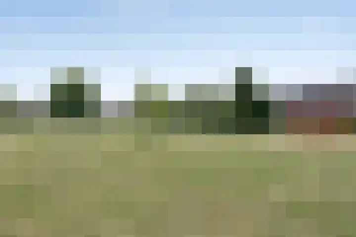 Schapenweide 174 Duiven thumbnail 61