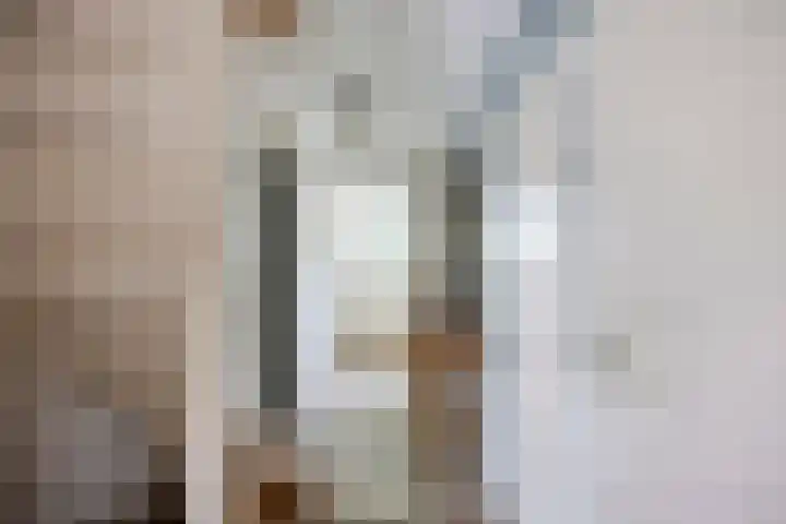 Schapenweide 174 Duiven thumbnail 8