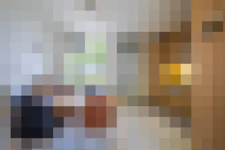 Schapenweide 212 Duiven thumbnail 11
