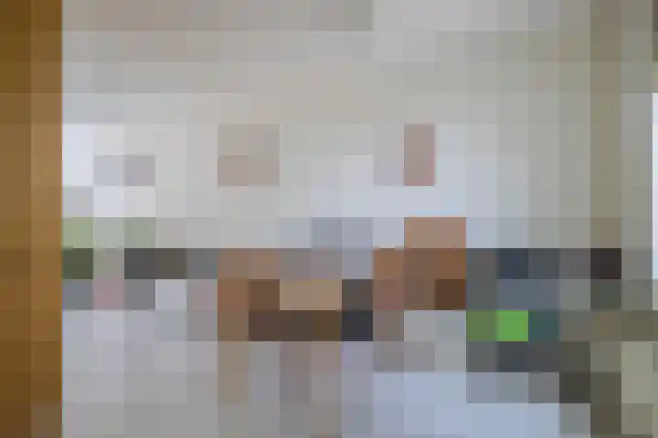 Schapenweide 212 Duiven thumbnail 12