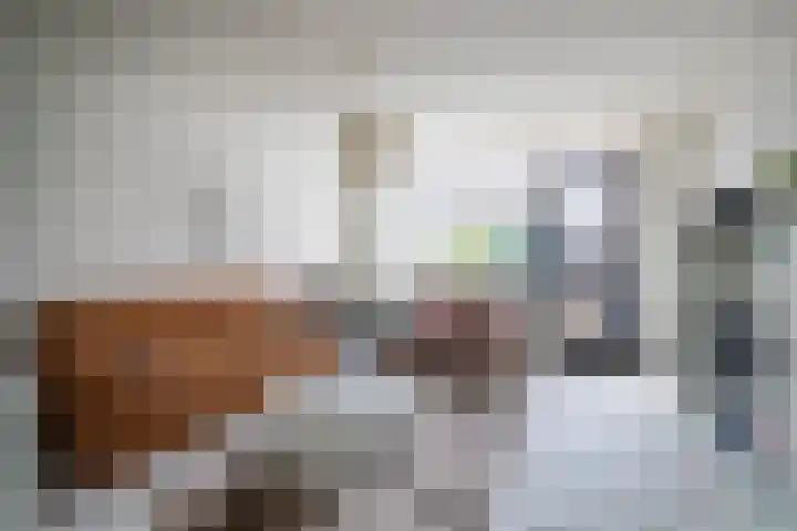 Schapenweide 212 Duiven thumbnail 13