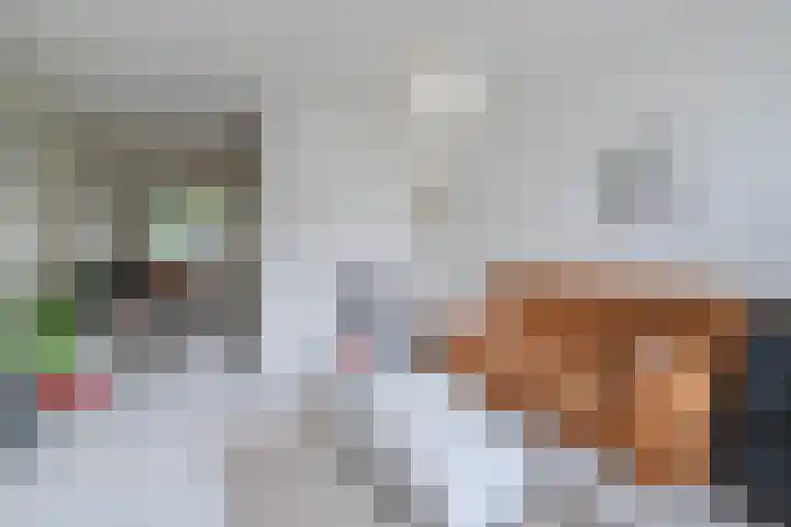Schapenweide 212 Duiven thumbnail 14