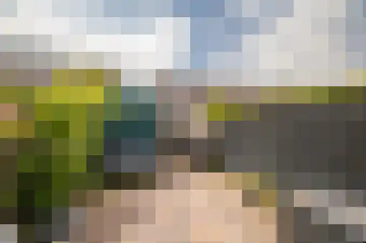 Schapenweide 212 Duiven thumbnail 15