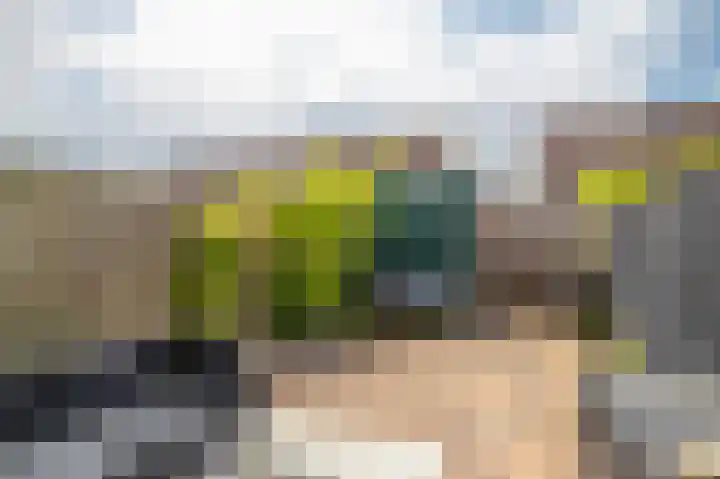 Schapenweide 212 Duiven thumbnail 16