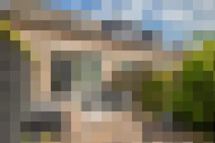 Schapenweide 212 Duiven thumbnail 17
