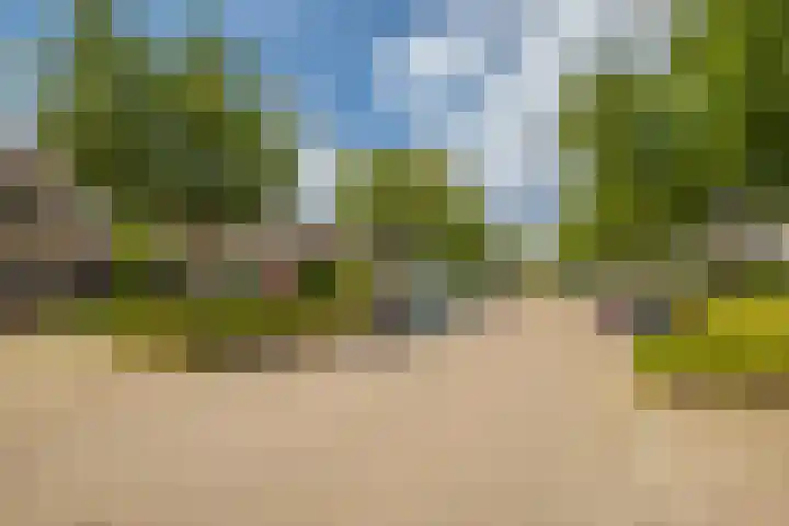 Schapenweide 212 Duiven thumbnail 18