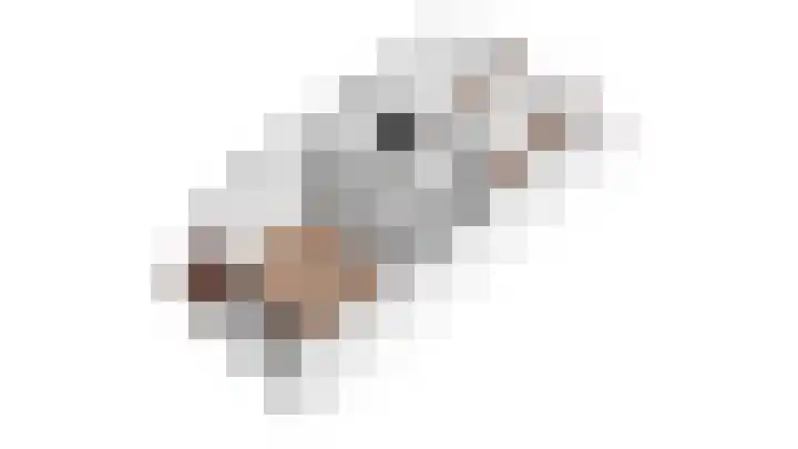 Schapenweide 212 Duiven thumbnail 24