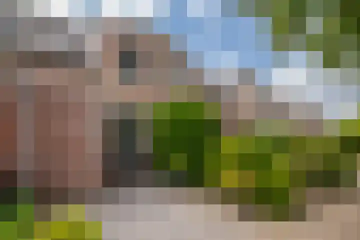 Schapenweide 212 Duiven thumbnail 33