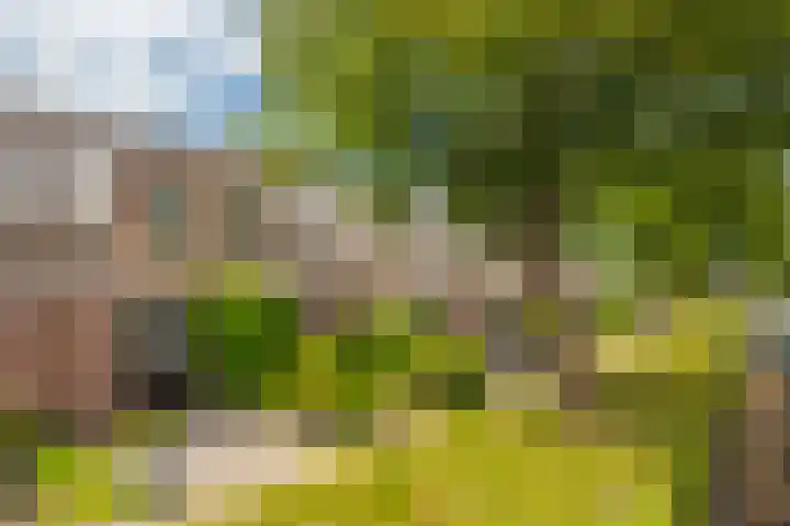 Schapenweide 212 Duiven thumbnail 5