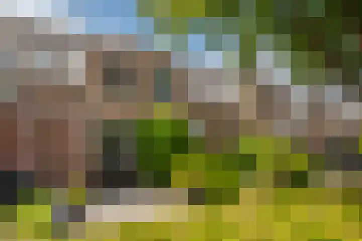 Schapenweide 212 Duiven thumbnail 6