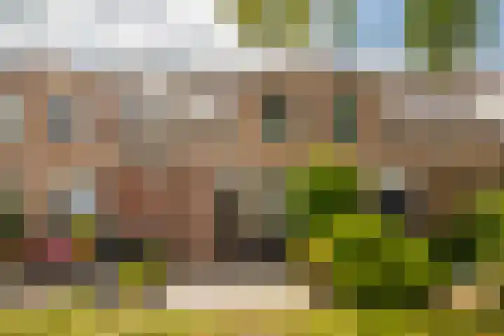 Schapenweide 212 Duiven thumbnail 7