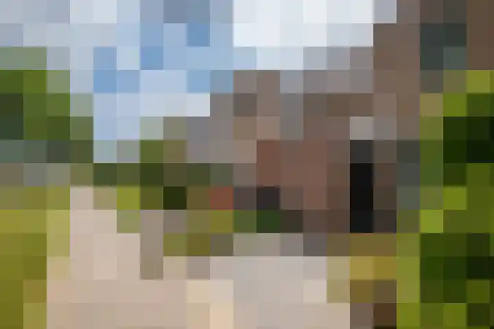 Schapenweide 212 Duiven thumbnail 8