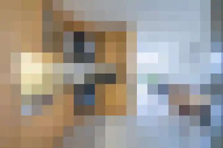 Schapenweide 212 Duiven thumbnail 9