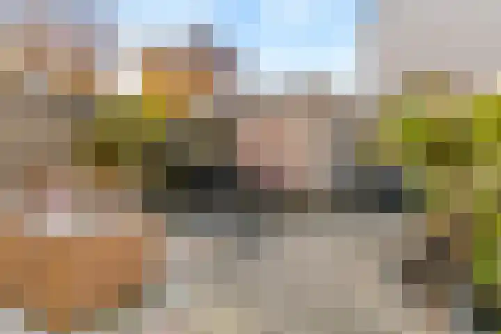 Schapenweide 26 Leiderdorp thumbnail 29