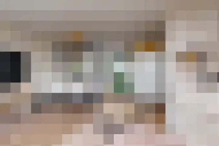 Schapenweide 26 Leiderdorp thumbnail 7