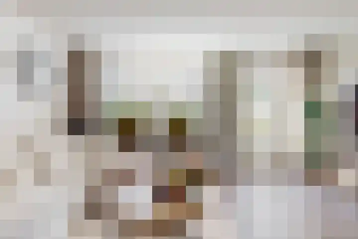 Schapenweide 26 Leiderdorp thumbnail 9