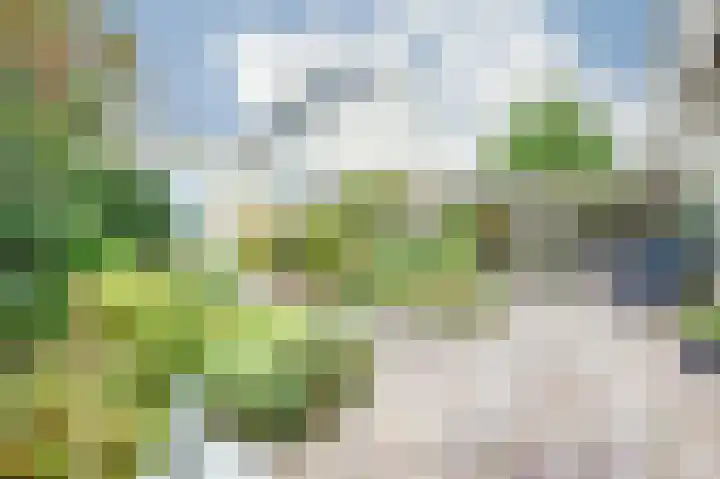Schapenweide 28 Leiderdorp thumbnail 21