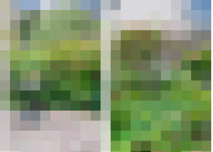 Schapenweide 28 Leiderdorp thumbnail 23