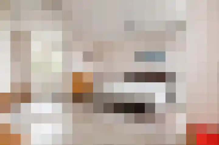 Schapenweide 28 Leiderdorp thumbnail 27