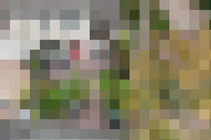 Schapenweide 28 Leiderdorp thumbnail 41