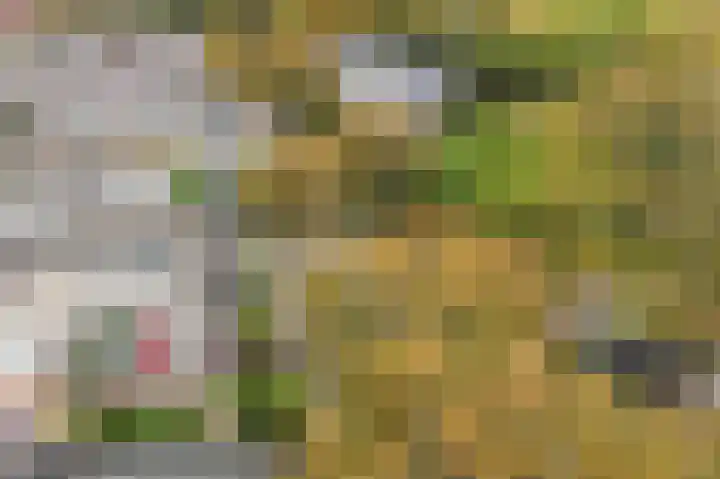 Schapenweide 28 Leiderdorp thumbnail 5