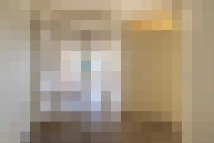 Schapenweide 36 Duiven thumbnail 11