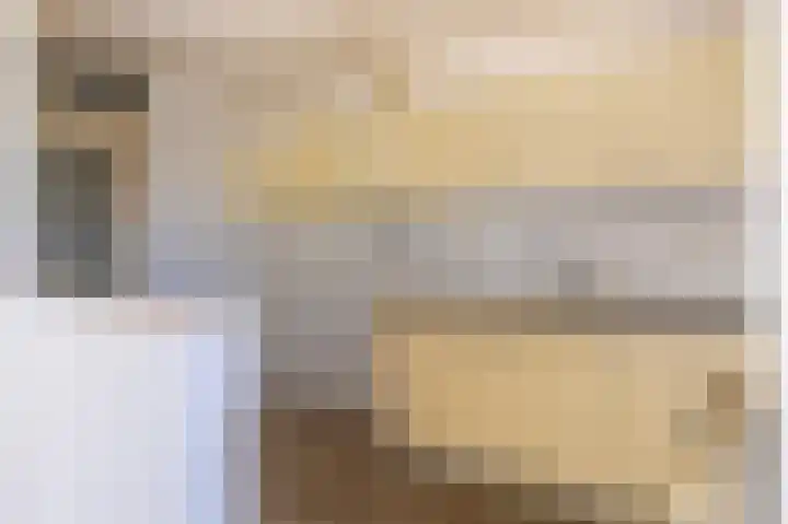 Schapenweide 36 Duiven thumbnail 13