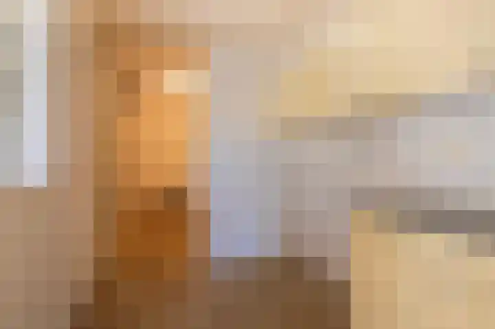 Schapenweide 36 Duiven thumbnail 14