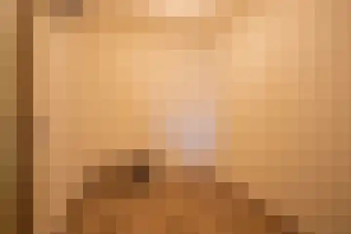 Schapenweide 36 Duiven thumbnail 15