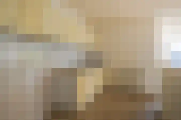 Schapenweide 36 Duiven thumbnail 16