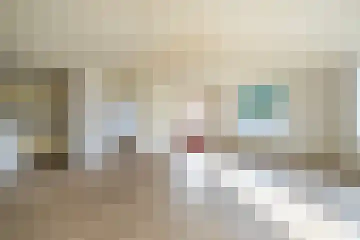 Schapenweide 36 Duiven thumbnail 19