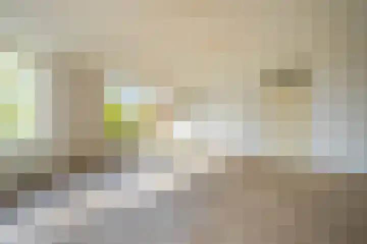 Schapenweide 36 Duiven thumbnail 20