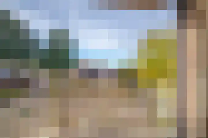 Schapenweide 36 Duiven thumbnail 25