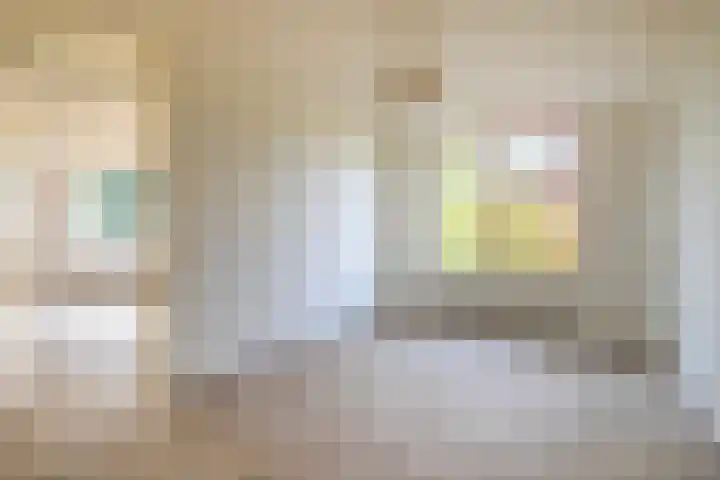 Schapenweide 36 Duiven thumbnail 26