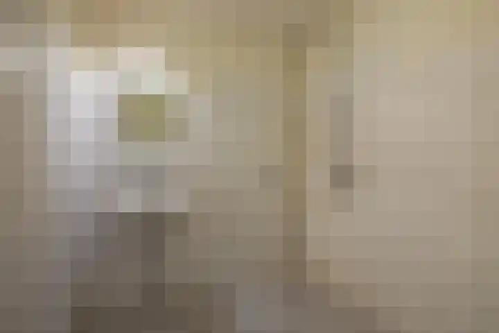 Schapenweide 36 Duiven thumbnail 28
