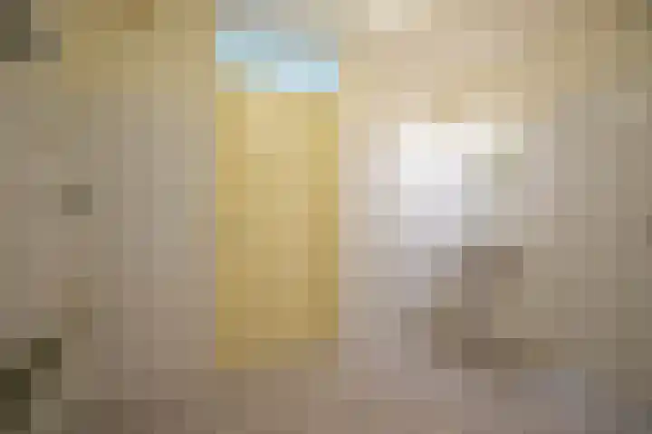 Schapenweide 36 Duiven thumbnail 29