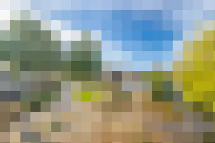 Schapenweide 36 Duiven thumbnail 30