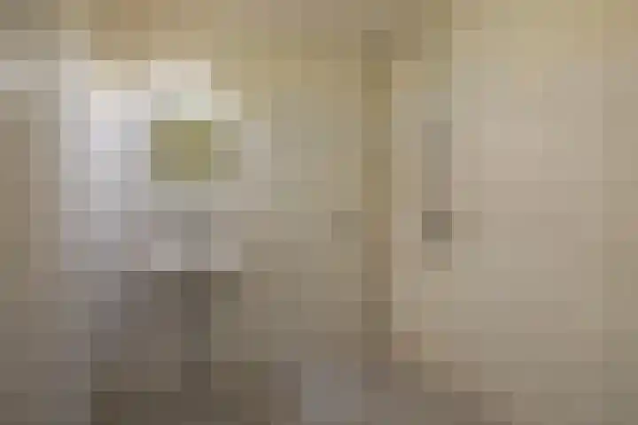 Schapenweide 36 Duiven thumbnail 4