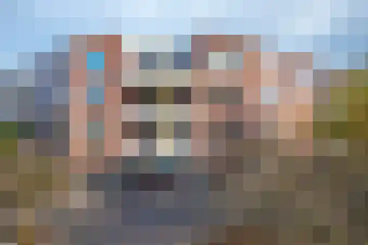 Schapenweide 36 Duiven thumbnail 5