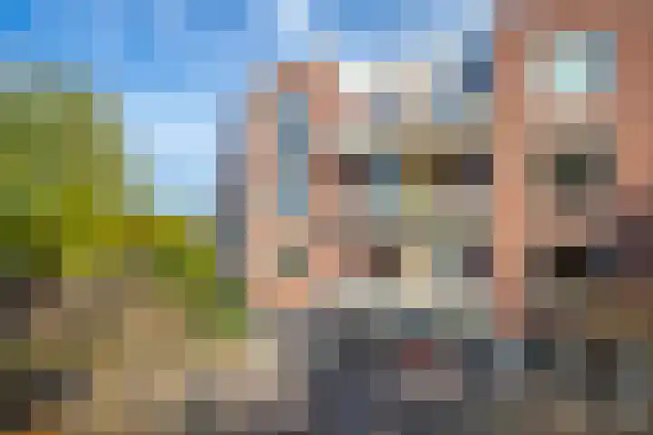 Schapenweide 36 Duiven thumbnail 6