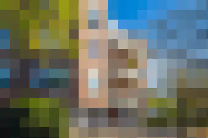 Schapenweide 36 Duiven thumbnail 7