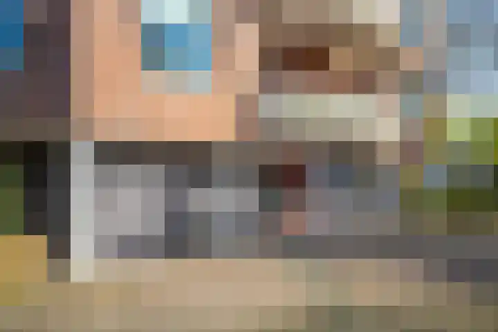 Schapenweide 36 Duiven thumbnail 8