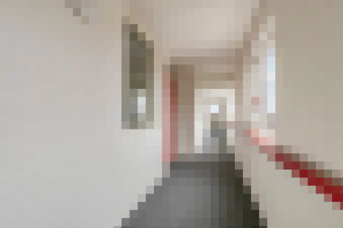 Schapenweide 42 Duiven thumbnail 13